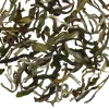 TeaSource Black Tea<Satin Swiftlet Darjeeling 1st Flush | Black Tea