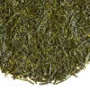 TeaSource Green Tea<Scenic Mountain Sencha | Green Tea