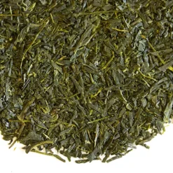 TeaSource Green Tea<Scenic Mountain Sencha | Green Tea