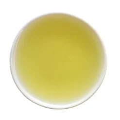 TeaSource Green Tea<Scenic Mountain Sencha | Green Tea