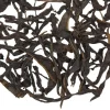TeaSource Oolong Tea<Shapeshifter Dan Cong | Oolong Tea