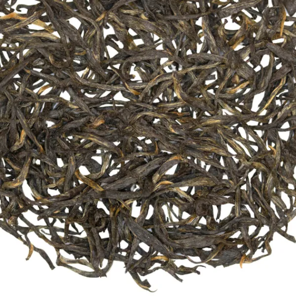 TeaSource Black Tea<Sleepy Hollow | Black Tea