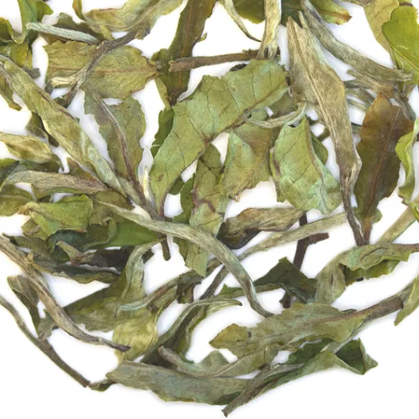 TeaSource White Tea<Snapdragon | White Tea