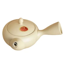 TeaSource Teapots<Snowdrift Tokoname Teapot (Kyūsu)