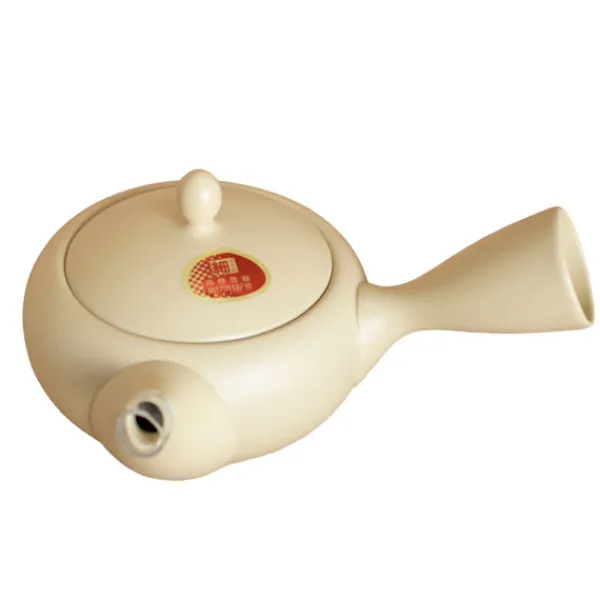 TeaSource Teapots<Snowdrift Tokoname Teapot (Kyūsu)