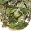 TeaSource White Tea<Spring Rain Bai Mu Dan | White Tea