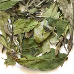 TeaSource White Tea<Spring Rain Bai Mu Dan | White Tea