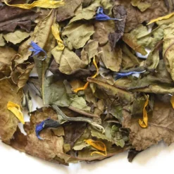 TeaSource White Tea<Sugar Magnolias | White Tea