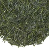 TeaSource Green Tea<Sunroom Sencha | Green Tea