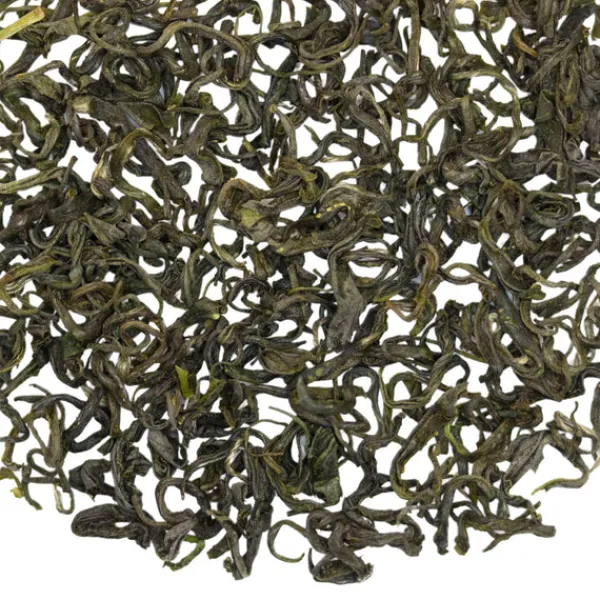 TeaSource Green Tea<Sycamore Grove | Green Tea