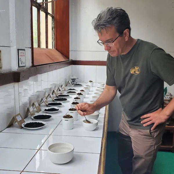 TeaSource Black Tea<The Quiet Tea Gods of Ceylon | Black Tea