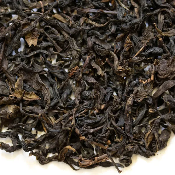 TeaSource Dark Tea<2021 Tian Jian | Dark Tea