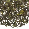 TeaSource Black Tea<Victoria's Riflebird Darjeeling 1st Flush | Black Tea