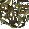 TeaSource White Tea<Whispering Cave | White Tea