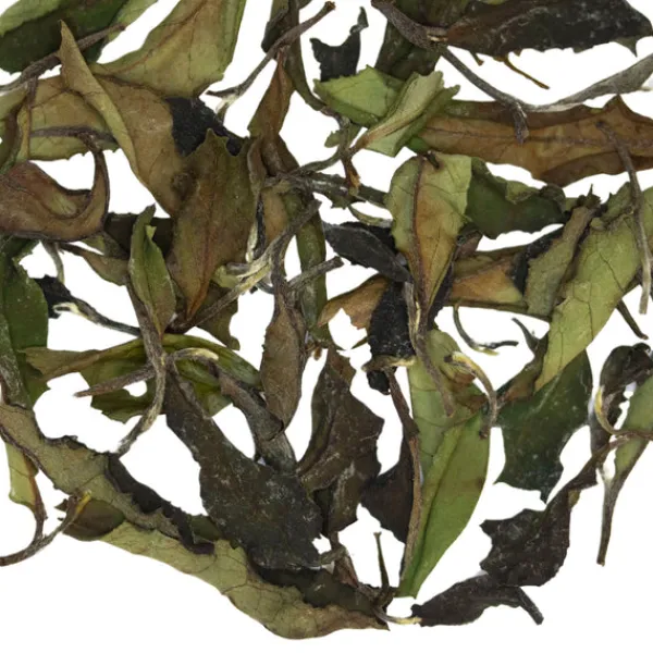 TeaSource White Tea<Whispering Cave | White Tea