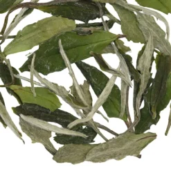 TeaSource White Tea<Wildflower White Tea