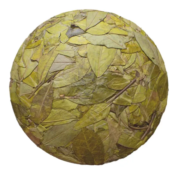 TeaSource White Tea<2020 Winter White Tea Cake