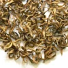 TeaSource Black Tea<Yunnan Gold Bud | Black Tea